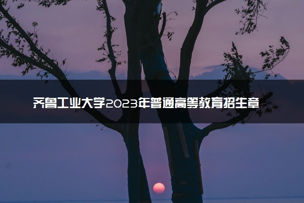 齐鲁工业大学2023年普通高等教育招生章程