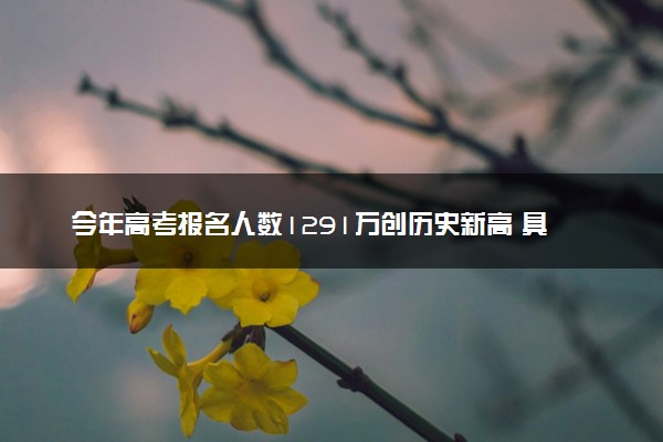 今年高考报名人数1291万创历史新高 具体情况