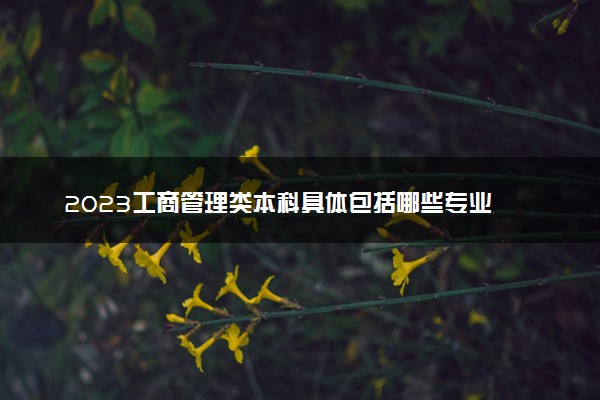 2023工商管理类本科具体包括哪些专业 什么专业吃香