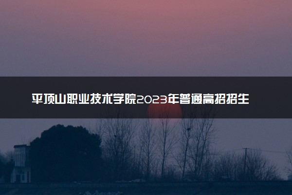 平顶山职业技术学院2023年普通高招招生章程