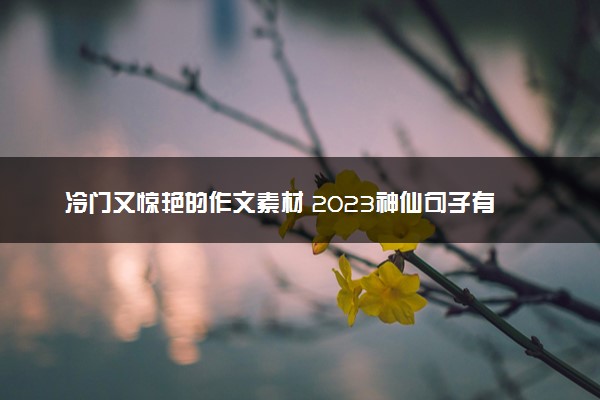 冷门又惊艳的作文素材 2023神仙句子有哪些