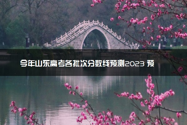 今年山东高考各批次分数线预测2023 预计本专科分数线