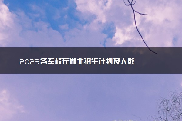 2023各军校在湖北招生计划及人数