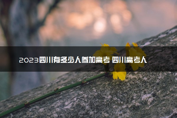 2023四川有多少人参加高考 四川高考人数