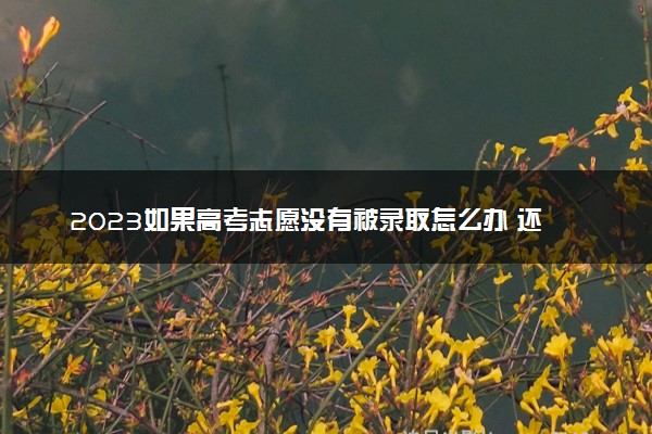 2023如果高考志愿没有被录取怎么办 还能补救吗