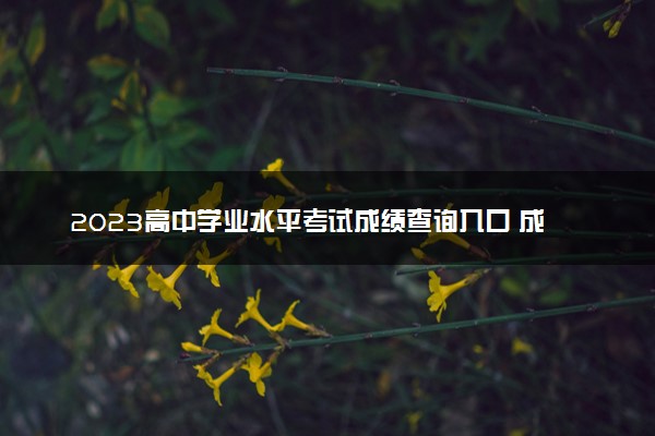 2023高中学业水平考试成绩查询入口 成绩有哪些影响