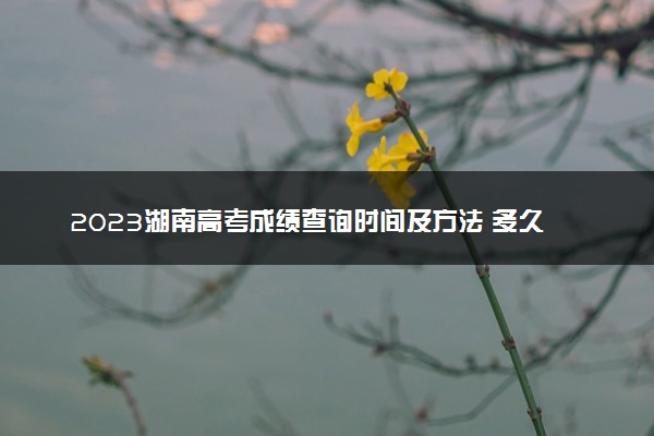 2023湖南高考成绩查询时间及方法 多久能查到分数