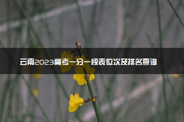 云南2023高考一分一段表位次及排名查询