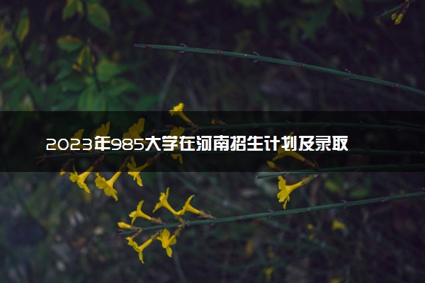 2023年985大学在河南招生计划及录取分数线