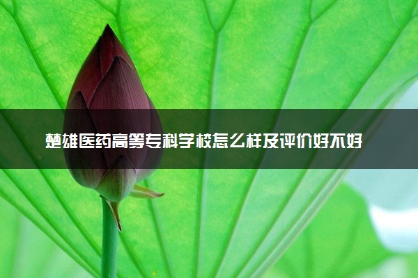 楚雄医药高等专科学校怎么样及评价好不好 楚雄医药高等专科学校口碑如何