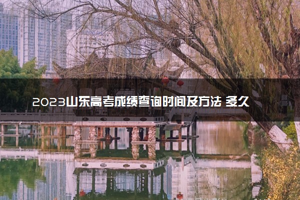 2023山东高考成绩查询时间及方法 多久能查到分数