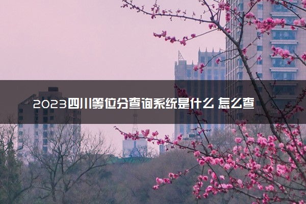 2023四川等位分查询系统是什么 怎么查