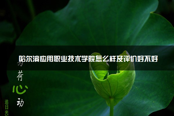 哈尔滨应用职业技术学院怎么样及评价好不好 哈尔滨应用职业技术学院口碑如何