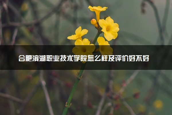 合肥滨湖职业技术学院怎么样及评价好不好 合肥滨湖职业技术学院口碑如何