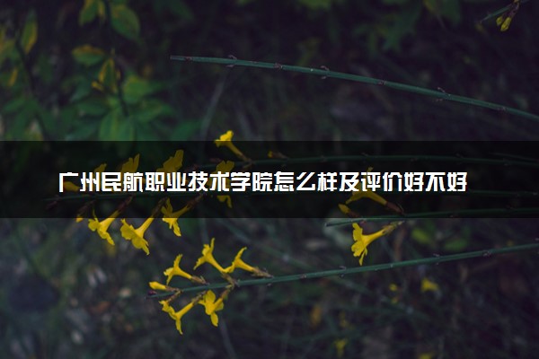 广州民航职业技术学院怎么样及评价好不好 广州民航职业技术学院口碑如何