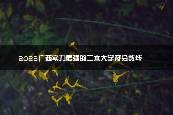 2023广西实力最强的二本大学及分数线