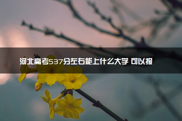 河北高考537分左右能上什么大学 可以报哪些公办院校(2023报考推荐)