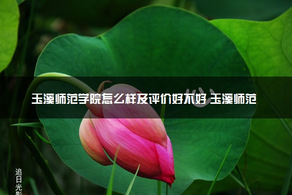 玉溪师范学院怎么样及评价好不好 玉溪师范学院口碑如何