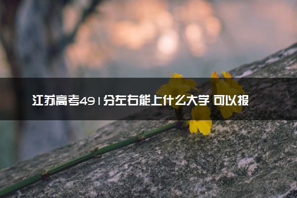 江苏高考491分左右能上什么大学 可以报哪些公办院校(2023报考推荐)