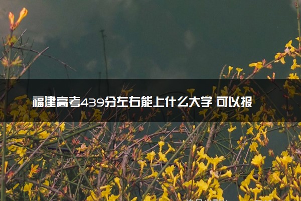 福建高考439分左右能上什么大学 可以报哪些公办院校(2023报考推荐)