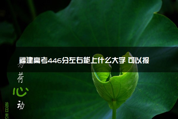 福建高考446分左右能上什么大学 可以报哪些公办院校(2023报考推荐)