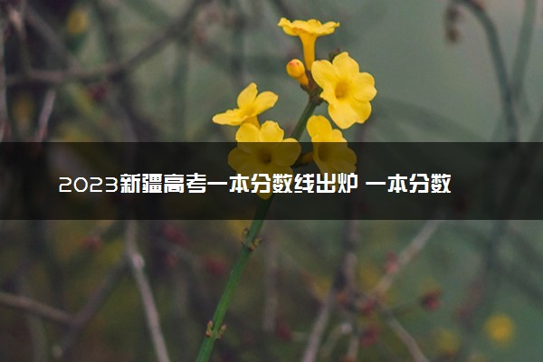 2023新疆高考一本分数线出炉 一本分数线最新公布