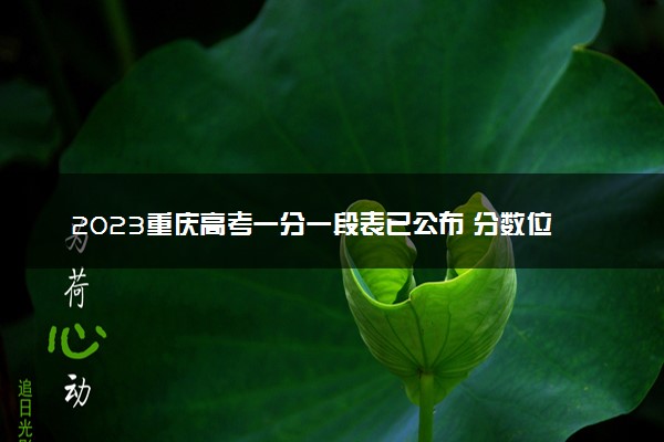 2023重庆高考一分一段表已公布 分数位次排名（历史类）