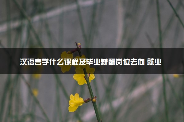 汉语言学什么课程及毕业薪酬岗位去向 就业前景怎么样