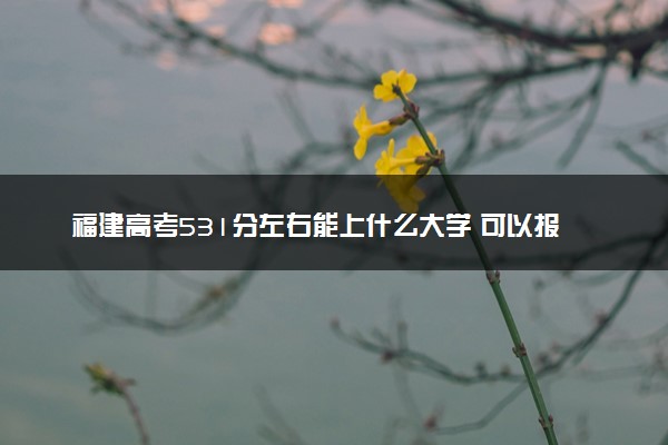 福建高考531分左右能上什么大学 可以报哪些公办院校(2023报考推荐)