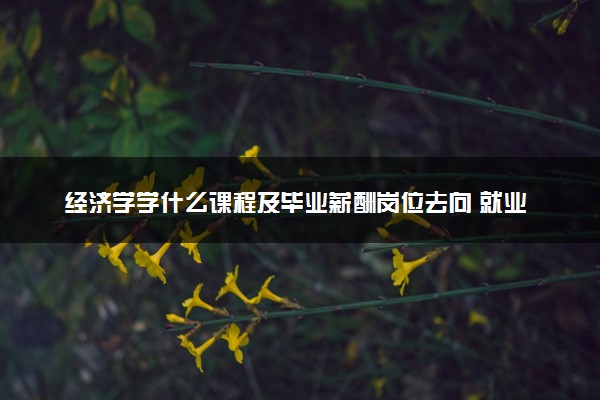 经济学学什么课程及毕业薪酬岗位去向 就业前景怎么样