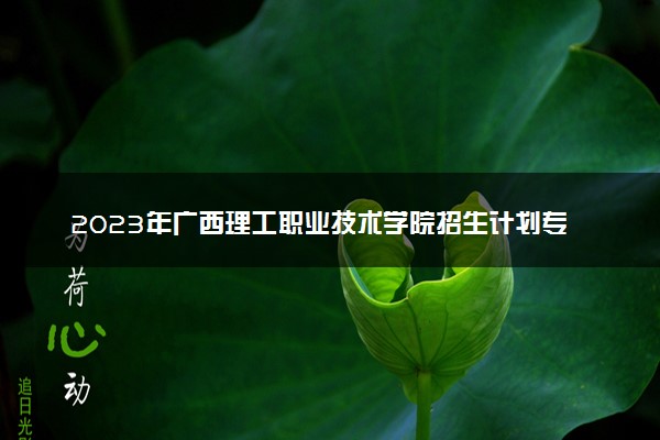 2023年广西理工职业技术学院招生计划专业及各省录取分数线位次