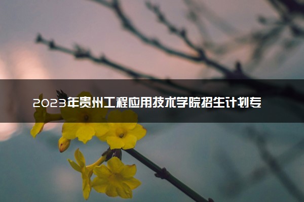 2023年贵州工程应用技术学院招生计划专业及各省录取分数线位次