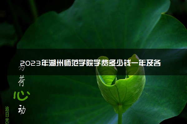 2023年湖州师范学院学费多少钱一年及各专业收费标准查询 大约需要多少费用