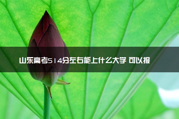 山东高考514分左右能上什么大学 可以报哪些公办院校(2023报考推荐)