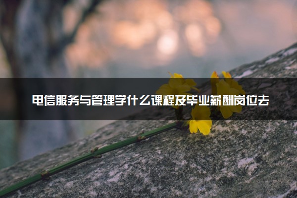 电信服务与管理学什么课程及毕业薪酬岗位去向 就业前景怎么样