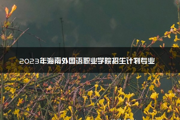 2023年海南外国语职业学院招生计划专业及各省录取分数线位次