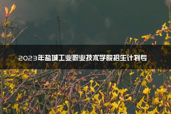 2023年盐城工业职业技术学院招生计划专业及各省录取分数线位次