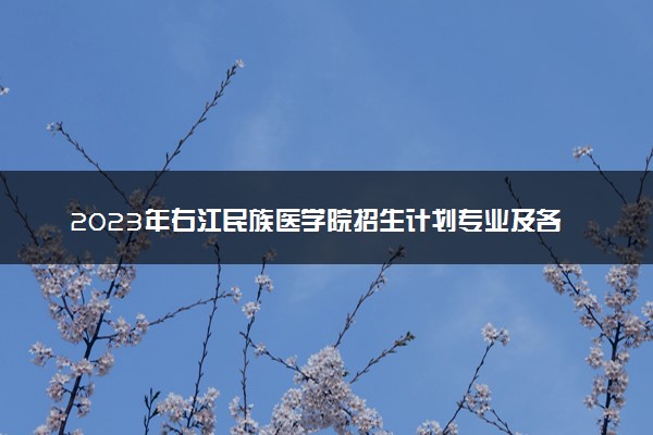 2023年右江民族医学院招生计划专业及各省录取分数线位次