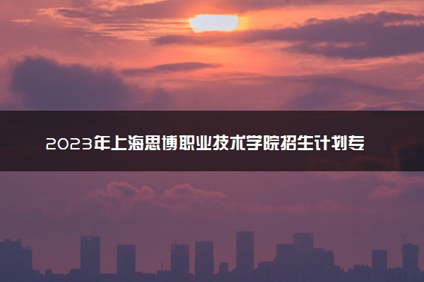 2023年上海思博职业技术学院招生计划专业及各省录取分数线位次