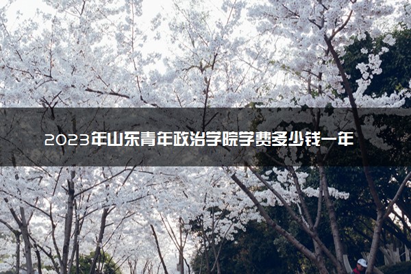 2023年山东青年政治学院学费多少钱一年及各专业收费标准查询 大约需要多少费用