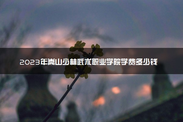 2023年嵩山少林武术职业学院学费多少钱一年及各专业收费标准查询 大约需要多少费用