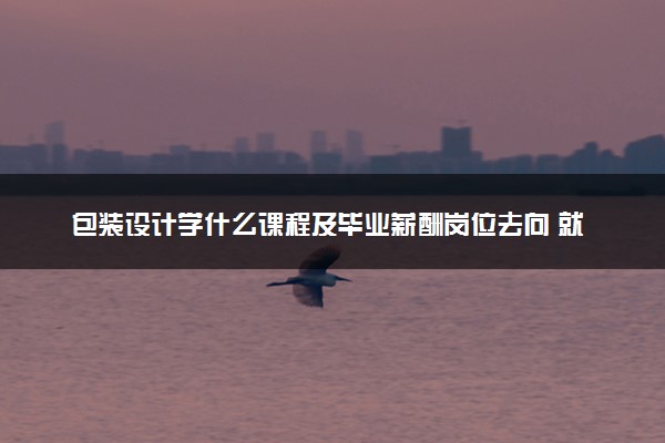 包装设计学什么课程及毕业薪酬岗位去向 就业前景怎么样