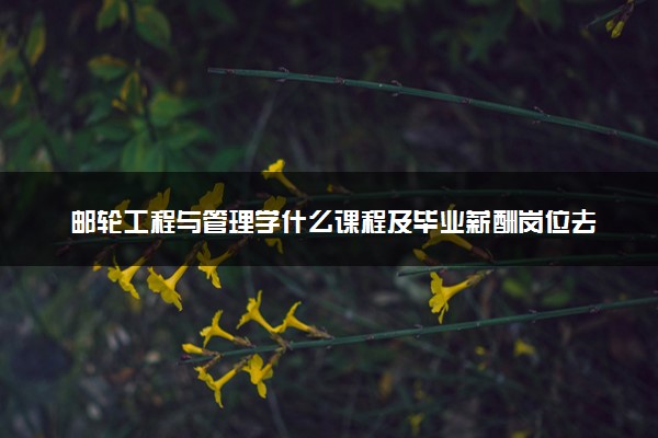 邮轮工程与管理学什么课程及毕业薪酬岗位去向 就业前景怎么样