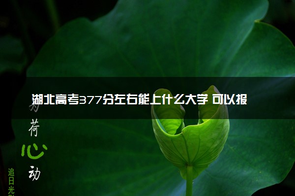 湖北高考377分左右能上什么大学 可以报哪些公办院校(2023报考推荐)