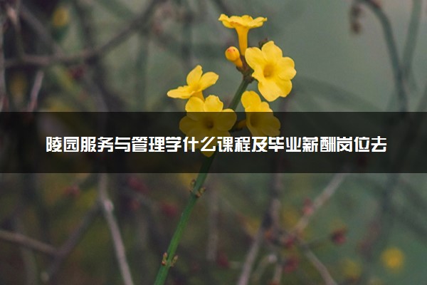 陵园服务与管理学什么课程及毕业薪酬岗位去向 就业前景怎么样