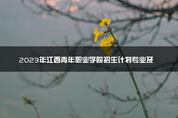 2023年江西青年职业学院招生计划专业及各省录取分数线位次