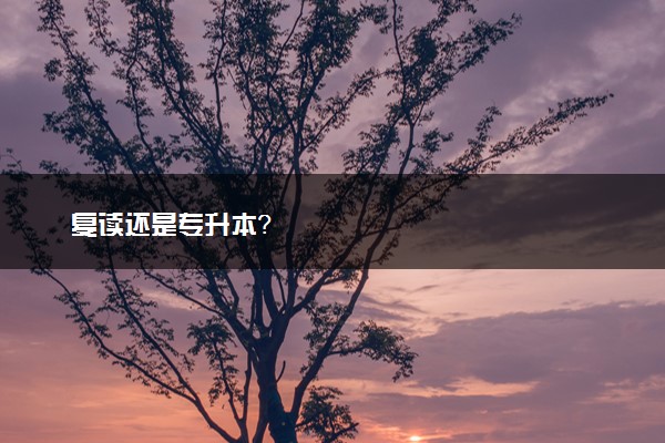 复读还是专升本？