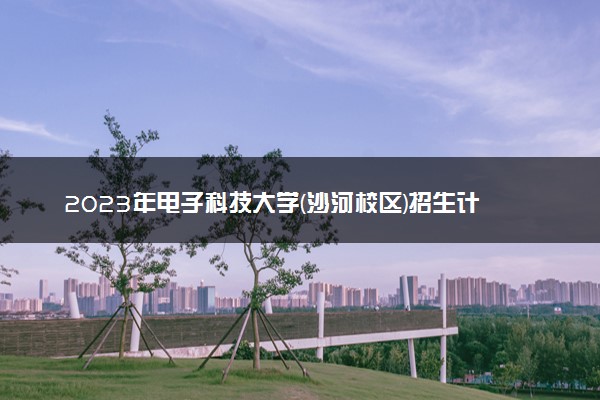 2023年电子科技大学(沙河校区)招生计划专业及各省录取分数线位次