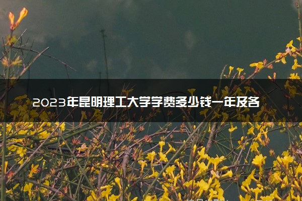 2023年昆明理工大学学费多少钱一年及各专业收费标准查询 大约需要多少费用