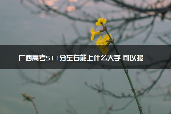 广西高考511分左右能上什么大学 可以报哪些公办院校(2023报考推荐)